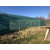 204812 R - Plachtová hala 6,1 x 14,64 x 3,66 m - VOJENSKÁ ZELENÁ